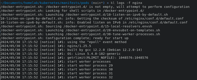 Nginx container logs