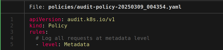 sample audit policy