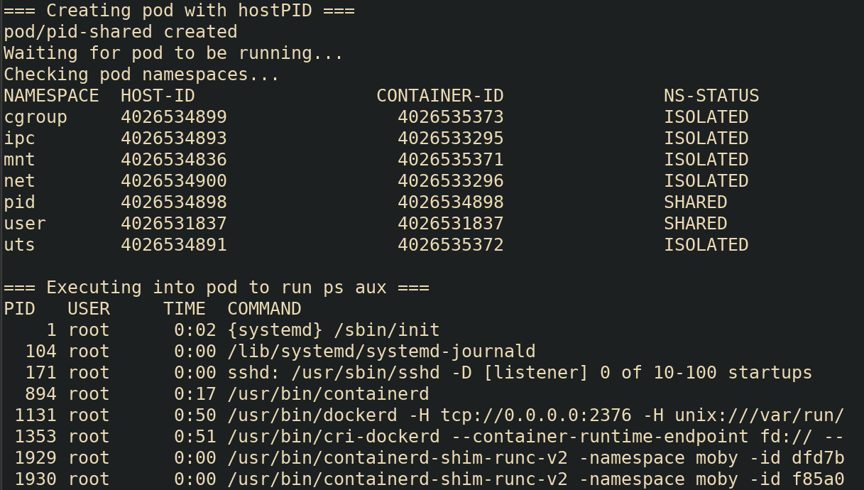 Creating the pod and viewing host processes on the node from the container