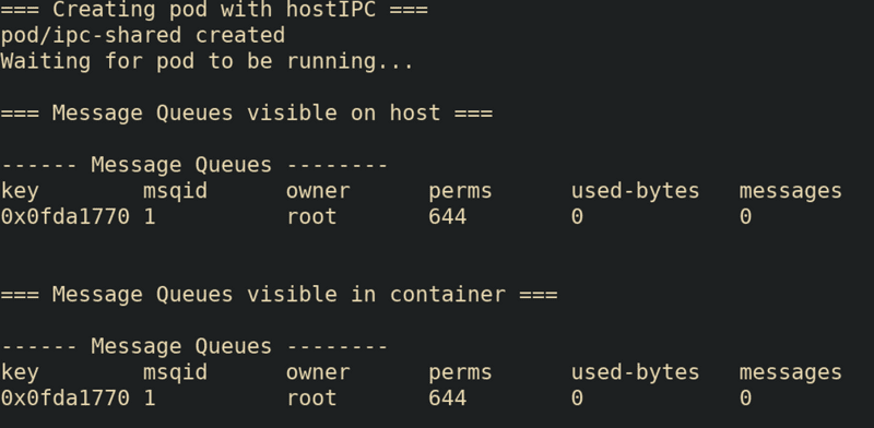 Viewing hostIPC info such as message queues